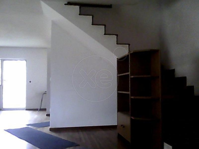 110045_342527_d.jpg