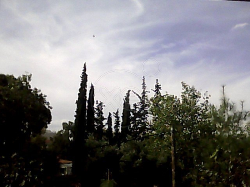 110045_456226_d.jpg