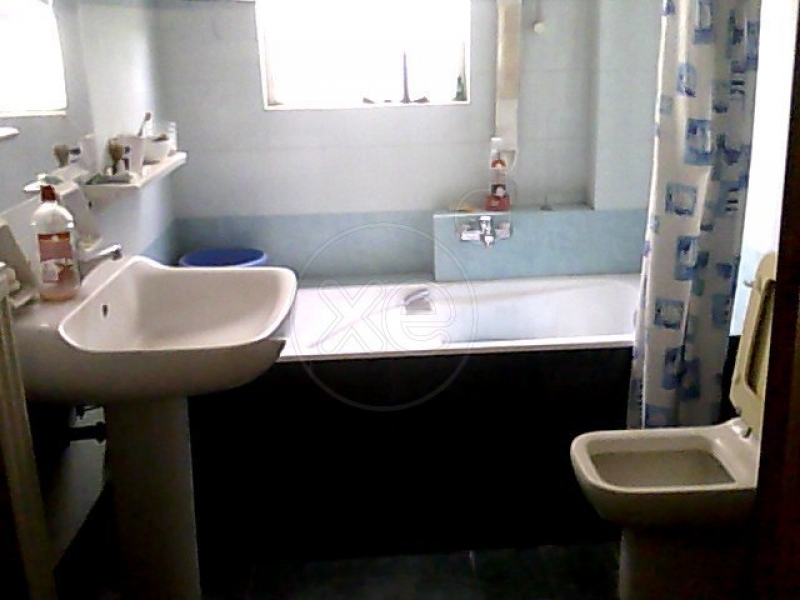 110045_543741_d.jpg