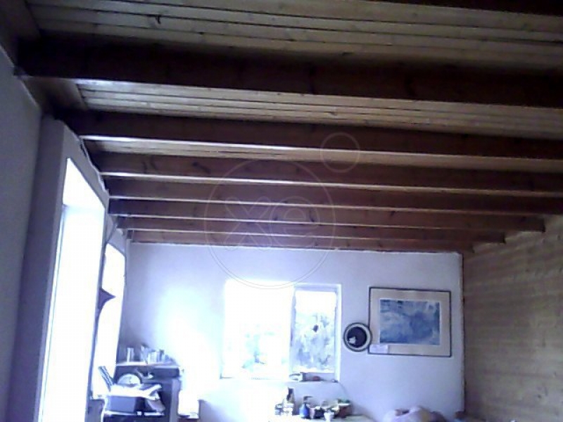 110045_796445_d.jpg