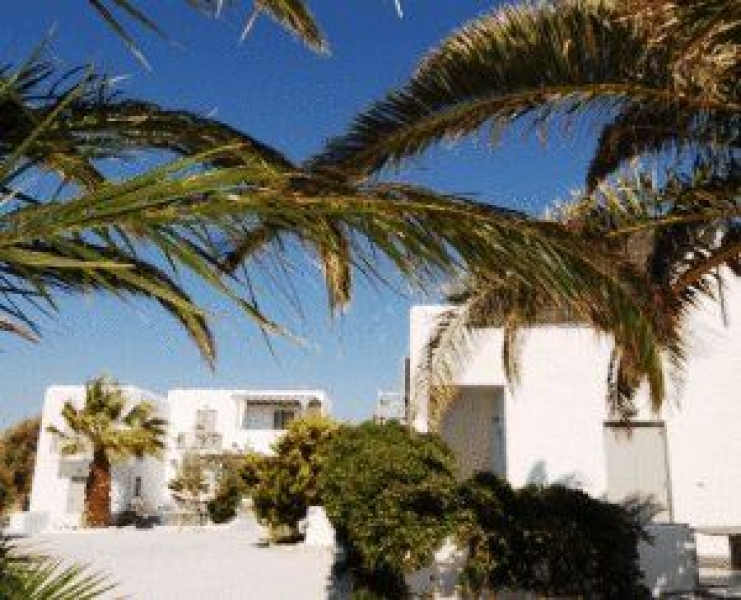 Image11.jpg