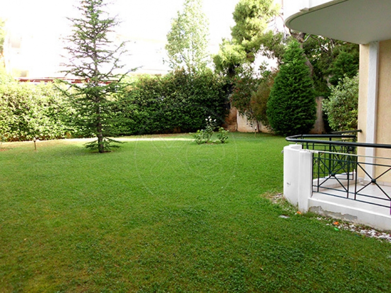 200537_379551_d.jpg