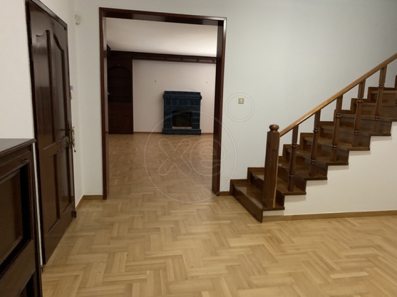 181653_202800_d.jpg