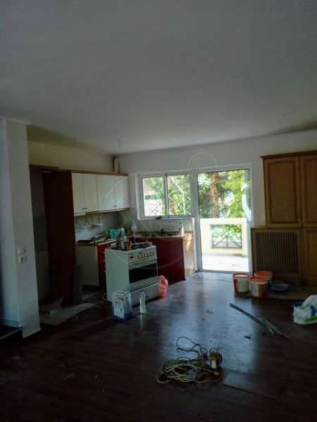 205058_786063_d.jpg