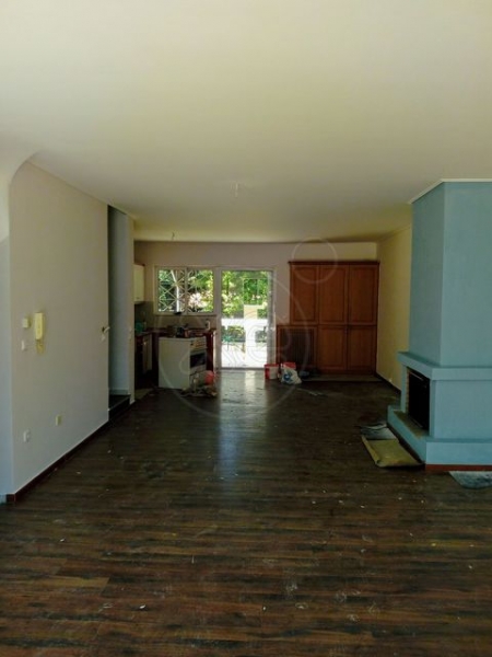 205058_888409_d.jpg