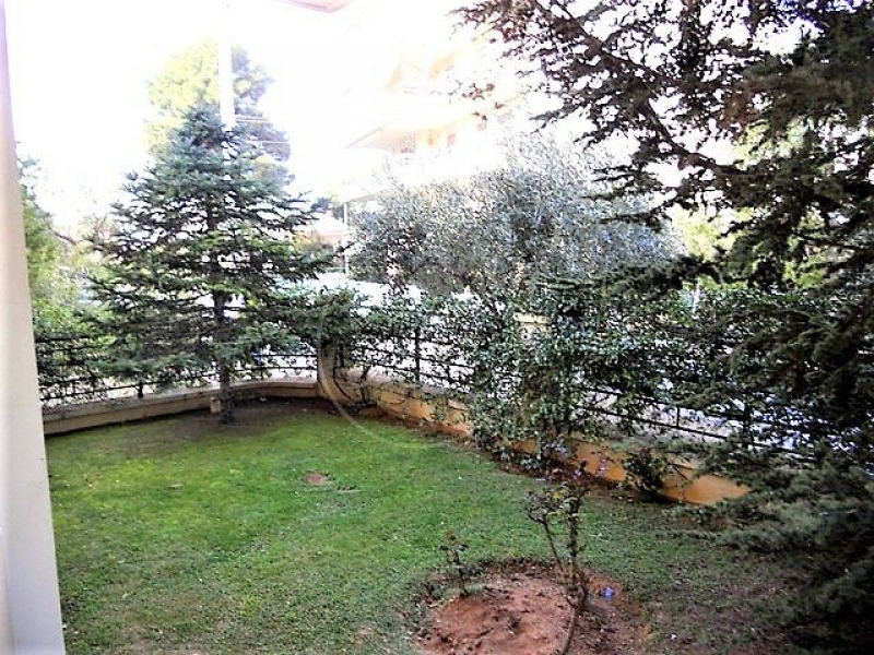 Image01.jpg